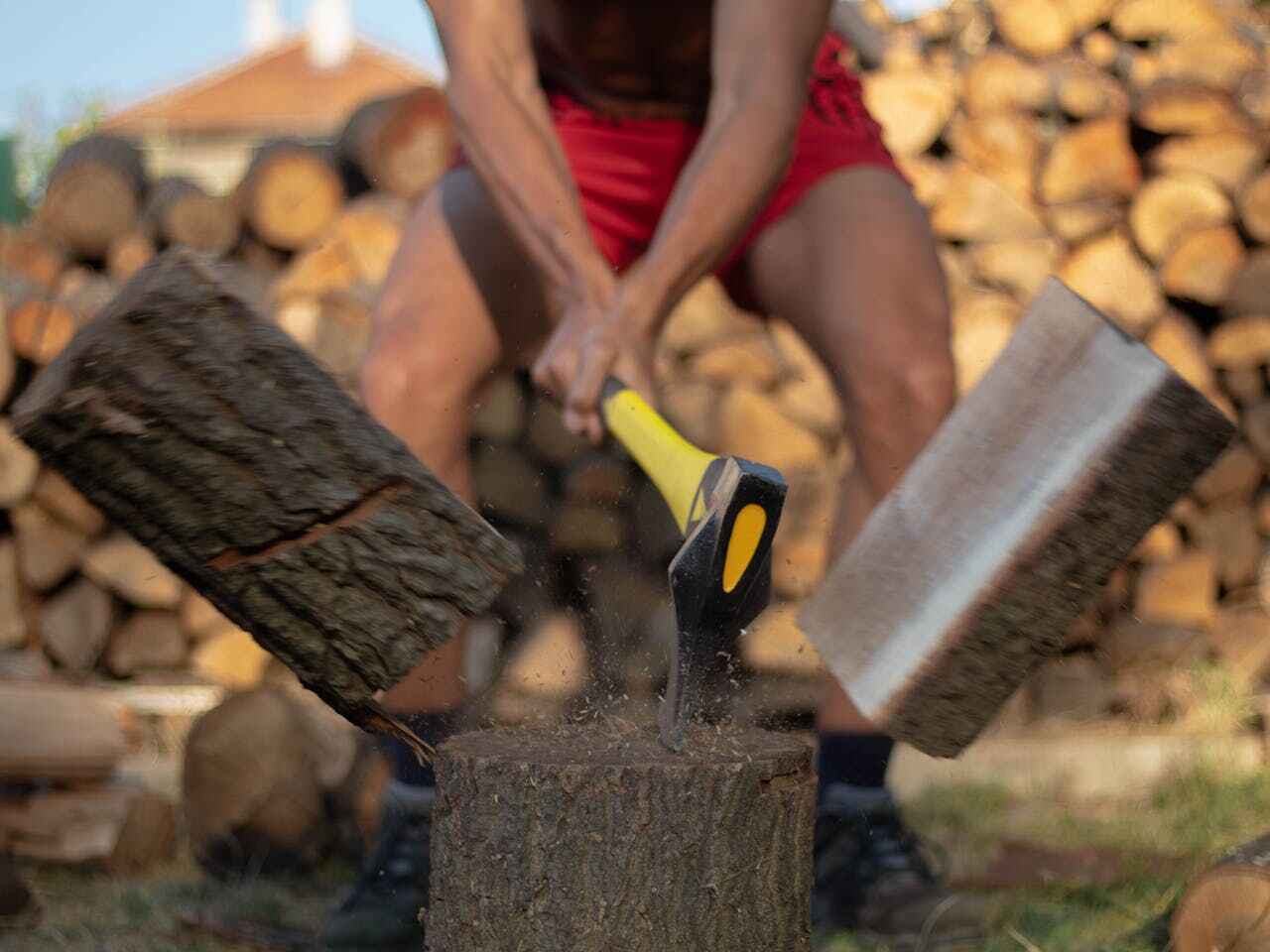 Tree Removal for Businesses in Mabank, TX